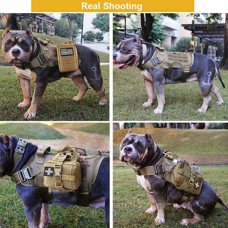 K9 Dog Tactical Harness & Leash - 2B Above All