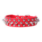 Adjustable Spiked Leather Dog Collar - 2B Above All