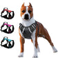 Adjustable Reflective Dog Harness - 2B Above All