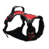 Adjustable Reflective Dog Harness - 2B Above All