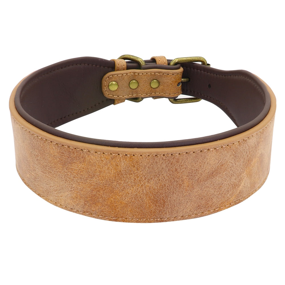 Wide Soft Padded Leather Dog Collar - 2B Above All