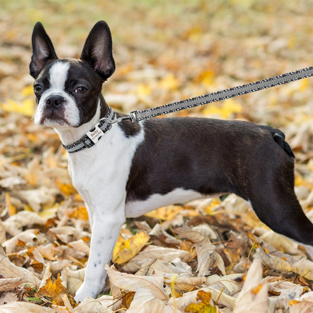 Nylon Reflective Dog Leash - 2B Above All