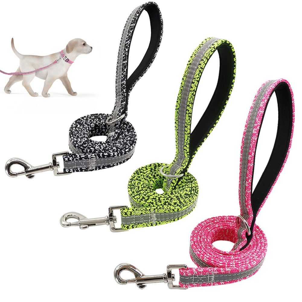 Nylon Reflective Dog Leash - 2B Above All