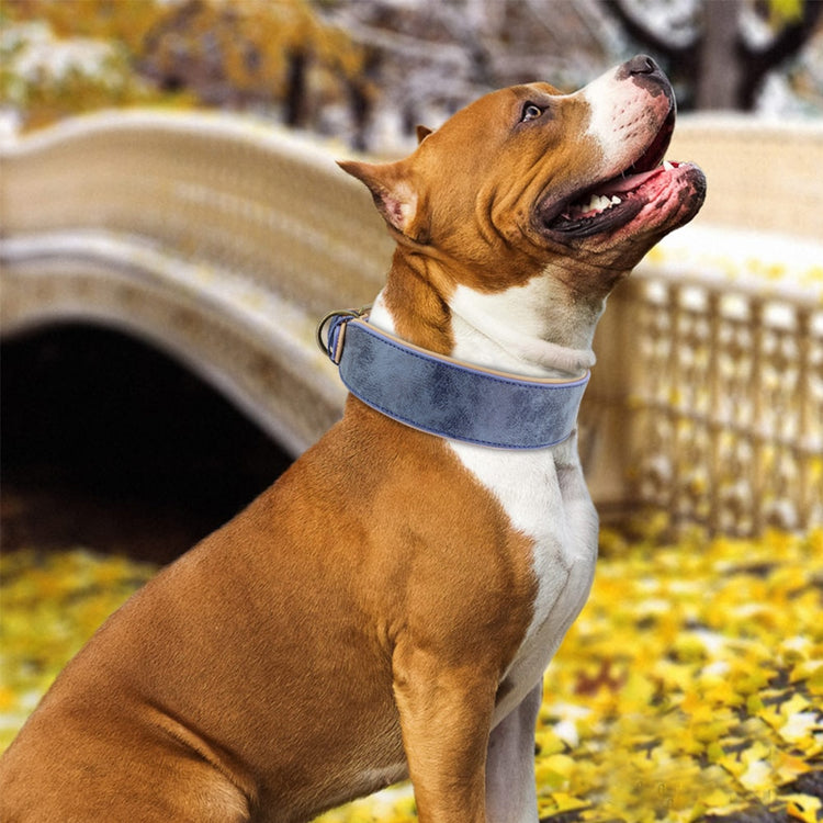 Wide Soft Padded Leather Dog Collar - 2B Above All