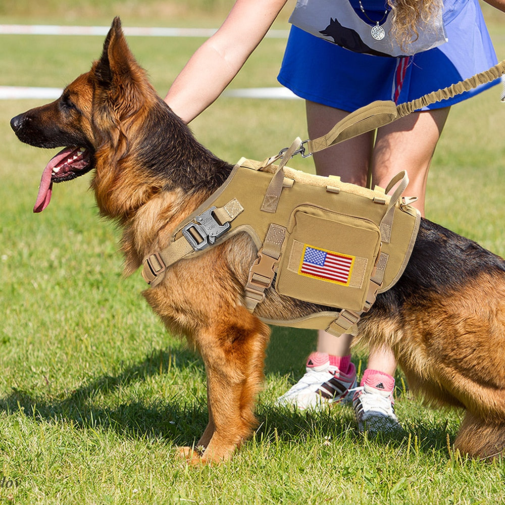 Tactical Large Dog Harness - 2B Above All