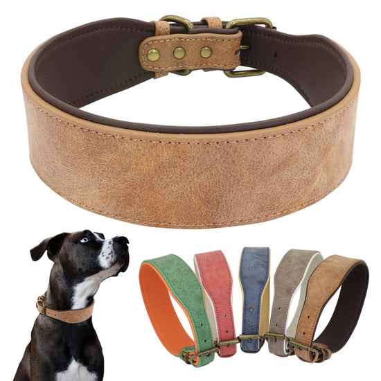 Wide Soft Padded Leather Dog Collar - 2B Above All