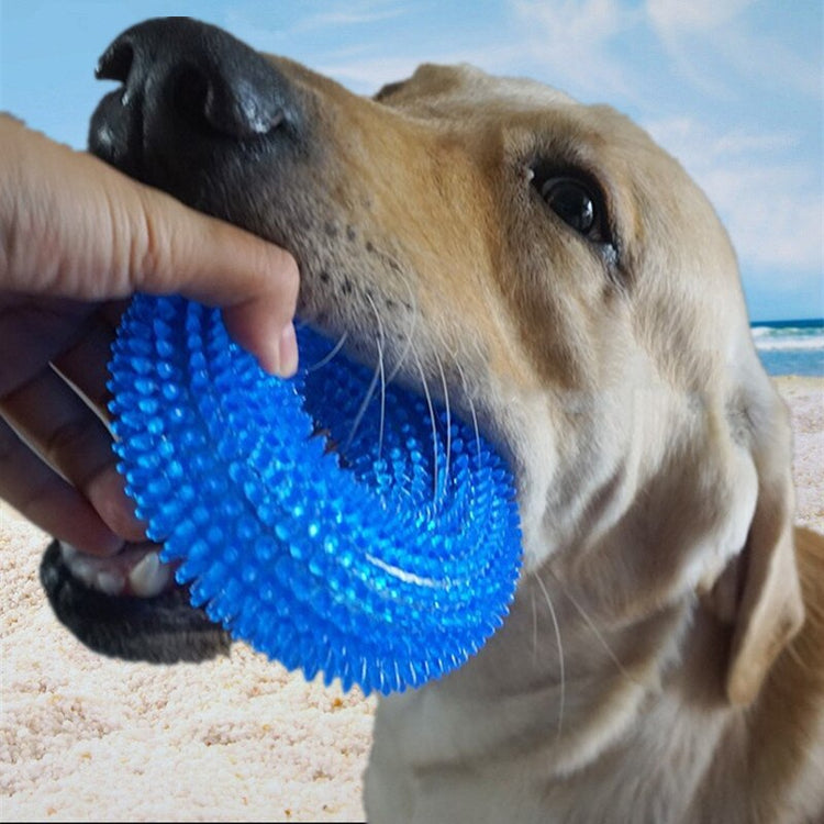 Bite-Proof Squeaky Chew Toy - 2B Above All