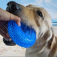 Bite-Proof Squeaky Chew Toy - 2B Above All