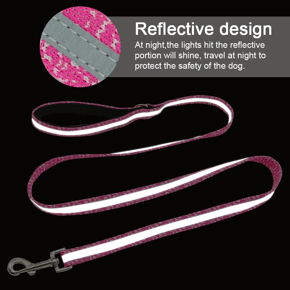 Nylon Reflective Dog Leash - 2B Above All