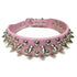 Adjustable Spiked Leather Dog Collar - 2B Above All