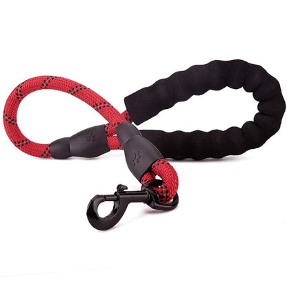 Short Dog Leash Rope 2FT - 2B Above All