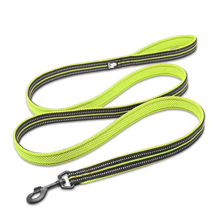 Truelove Soft Mesh Nylon Dog Leash - 2B Above All