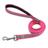 Nylon Reflective Dog Leash - 2B Above All