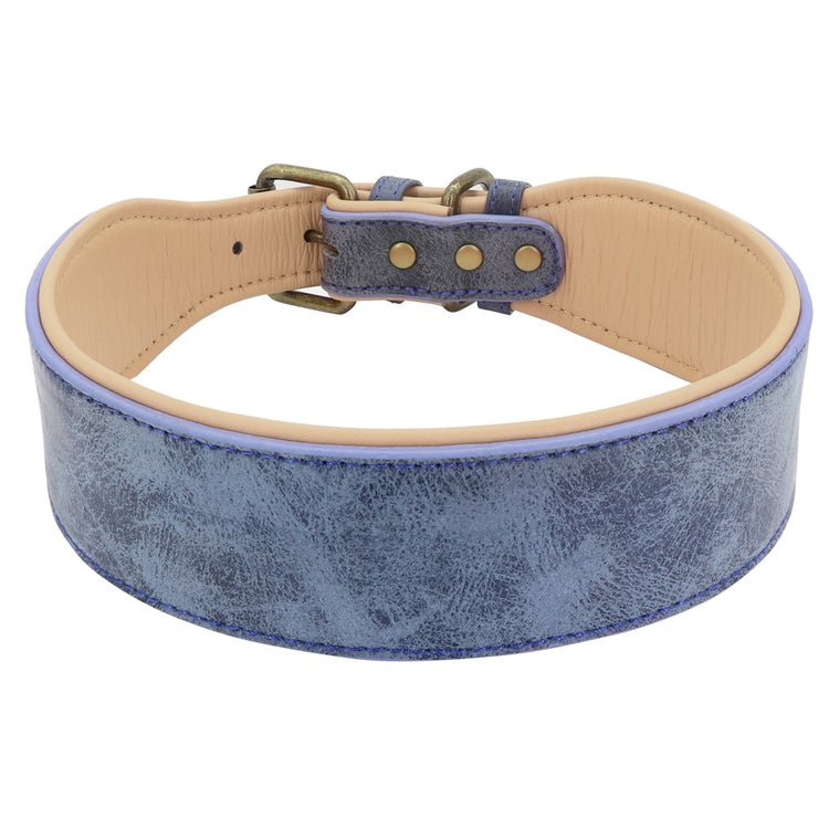 Wide Soft Padded Leather Dog Collar - 2B Above All