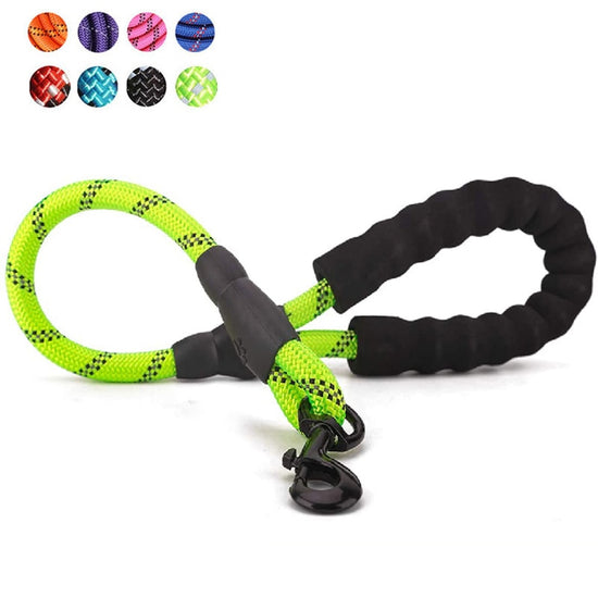 Short Dog Leash Rope 2FT - 2B Above All