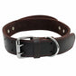 Genuine Leather Dog Collar - 2B Above All