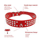 Rhinestone Leather Dog Collar - 2B Above All