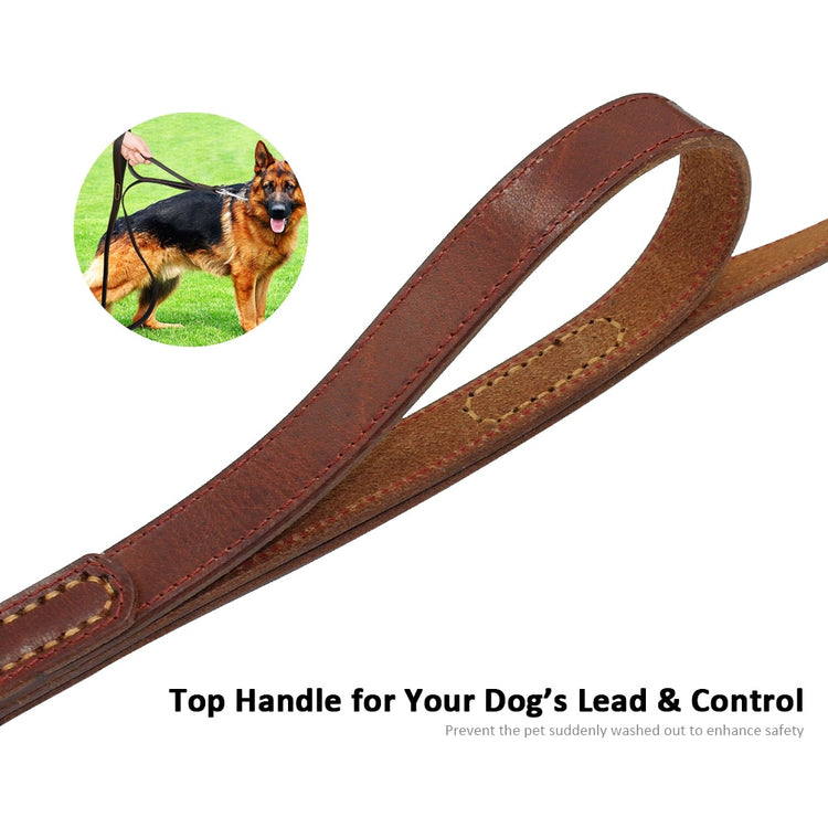 Genuine Leather Pet Dog Leash - 2B Above All