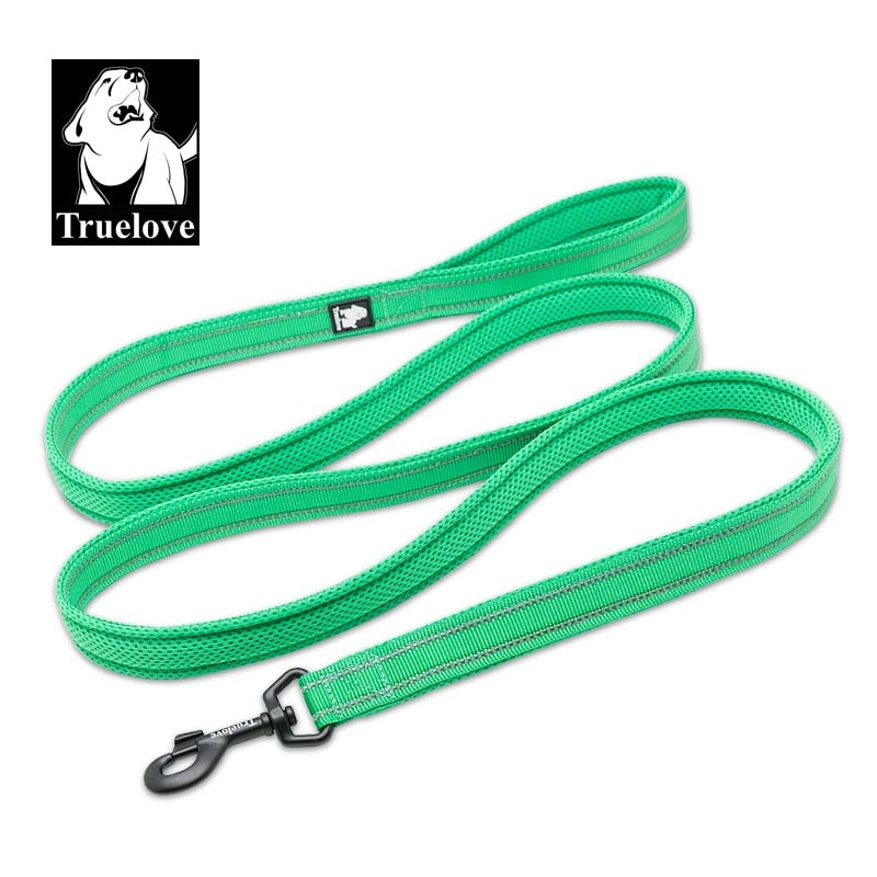 Truelove Soft Mesh Nylon Dog Leash - 2B Above All