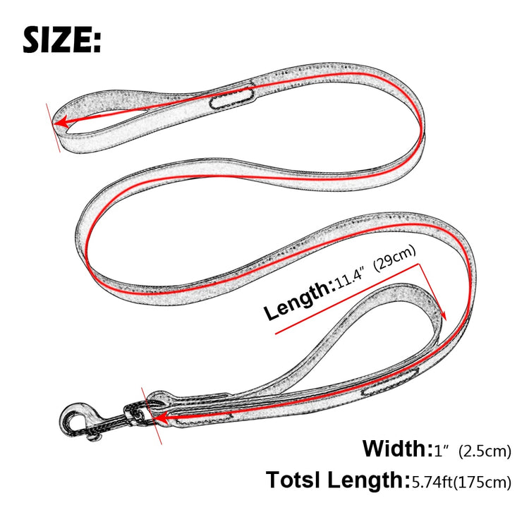 Genuine Leather Pet Dog Leash - 2B Above All