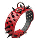 Wide Sharp Spiked Studded Leather Dog Collars - 2B Above All