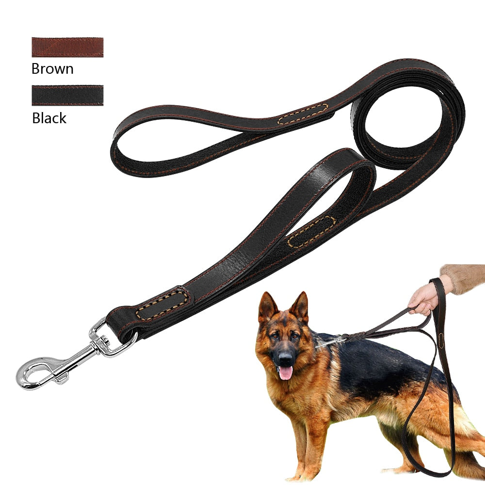 Genuine Leather Pet Dog Leash - 2B Above All