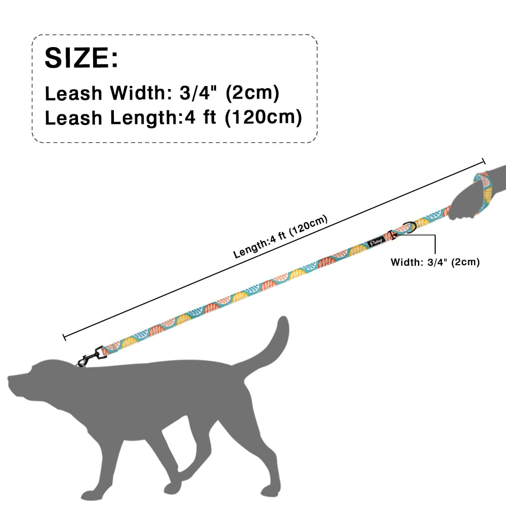 Printed Dog Leash - 2B Above All