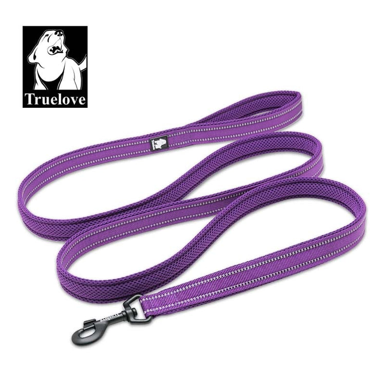 Truelove Soft Mesh Nylon Dog Leash - 2B Above All