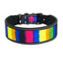 Reflective Nylon Dog Collar - 2B Above All