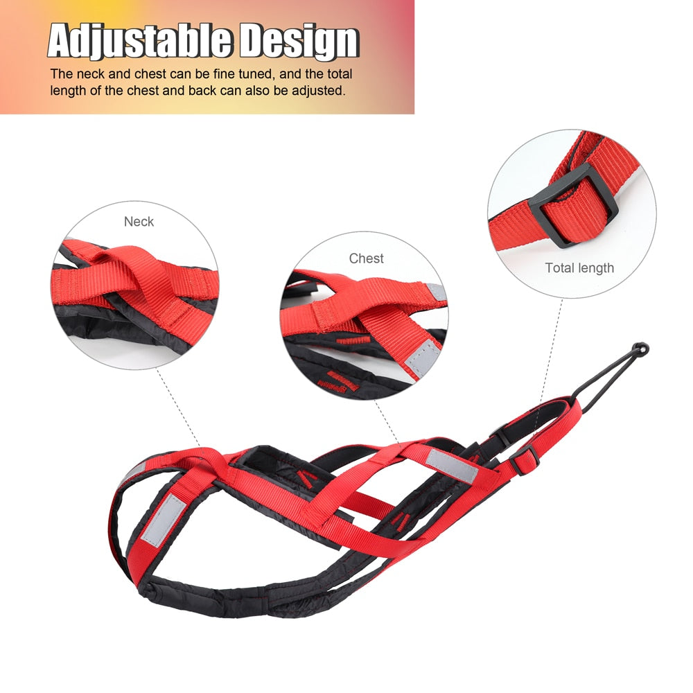 Dog Weight Pulling Harness - 2B Above All