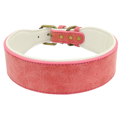 Wide Soft Padded Leather Dog Collar - 2B Above All