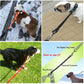 Truelove Buffer Bungee Dog Leash - 2B Above All