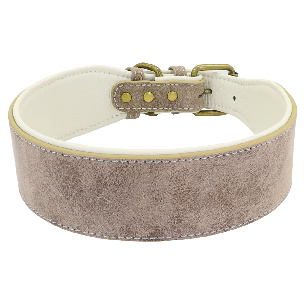 Wide Soft Padded Leather Dog Collar - 2B Above All