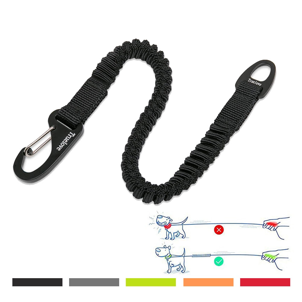 Truelove Buffer Bungee Dog Leash - 2B Above All