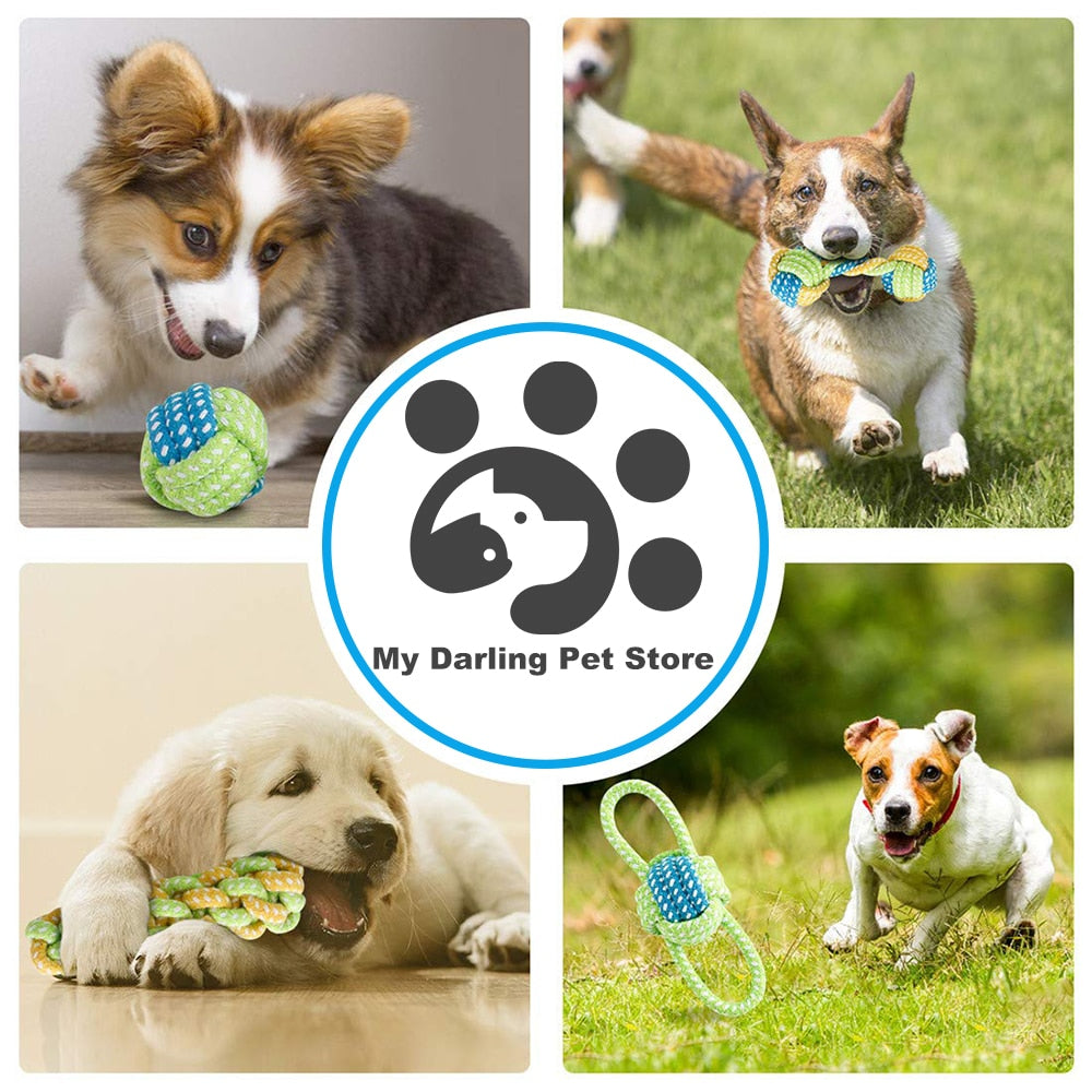 Pet Dog Toys for Large Small Dogs - 2B Above All