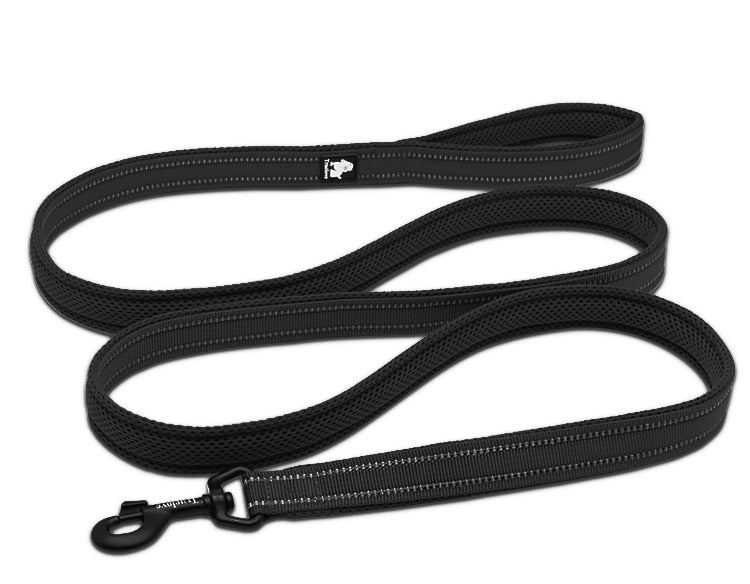 Truelove Soft Mesh Nylon Dog Leash - 2B Above All