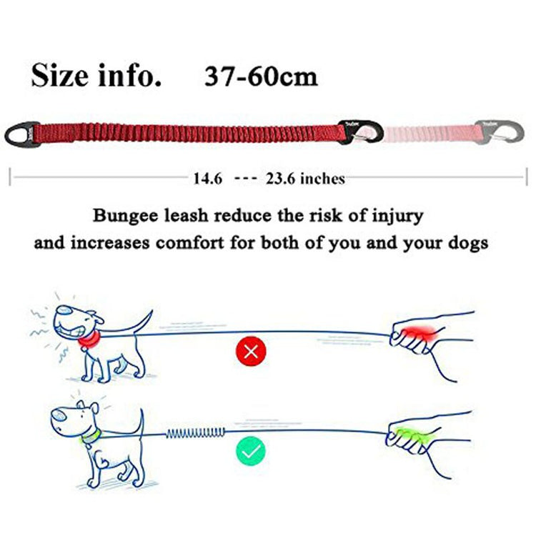 Truelove Buffer Bungee Dog Leash - 2B Above All