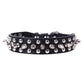 Adjustable Spiked Leather Dog Collar - 2B Above All