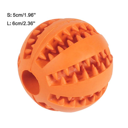 Soft Dog Chew Toy - 2B Above All