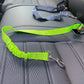 Dog Adjustable Elastic Seat Belt - 2B Above All