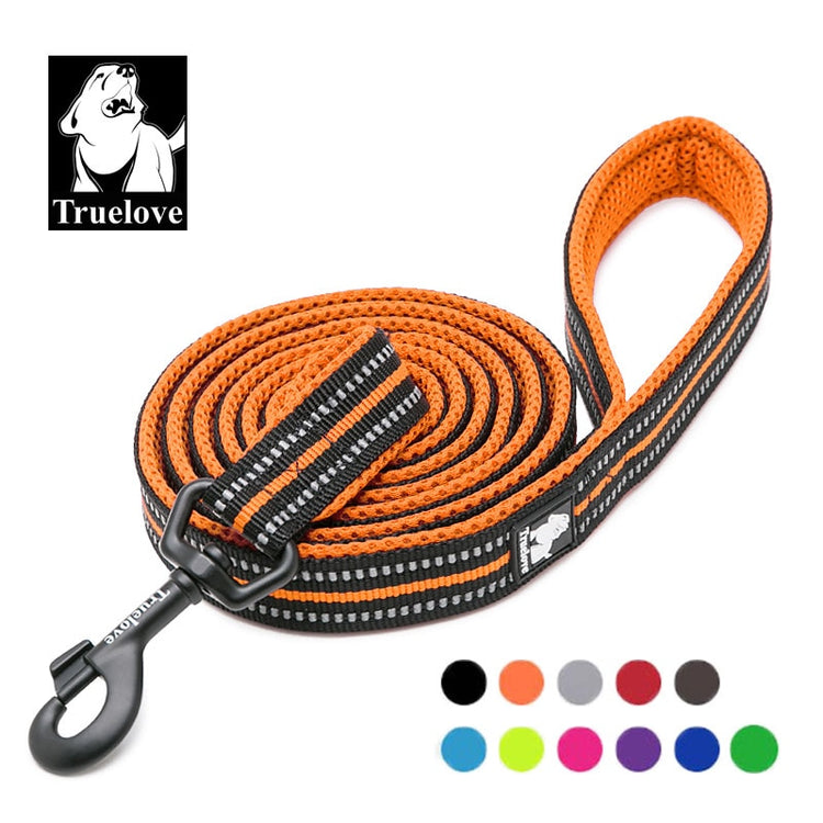 Truelove Soft Mesh Nylon Dog Leash - 2B Above All