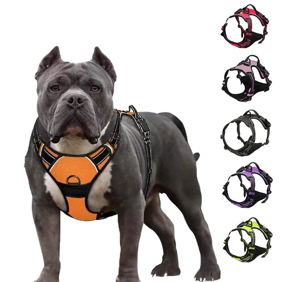 Reflective Adjustable Dog Harness - 2B Above All