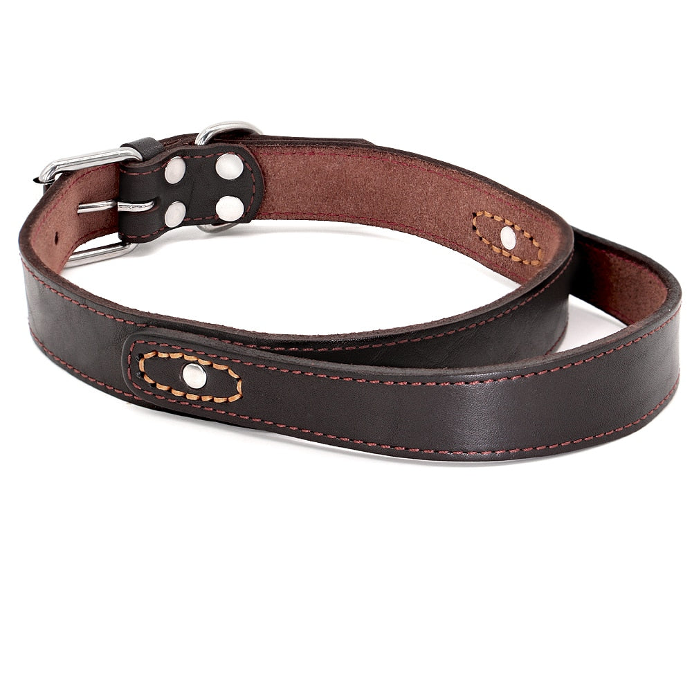 Genuine Leather Dog Collar - 2B Above All