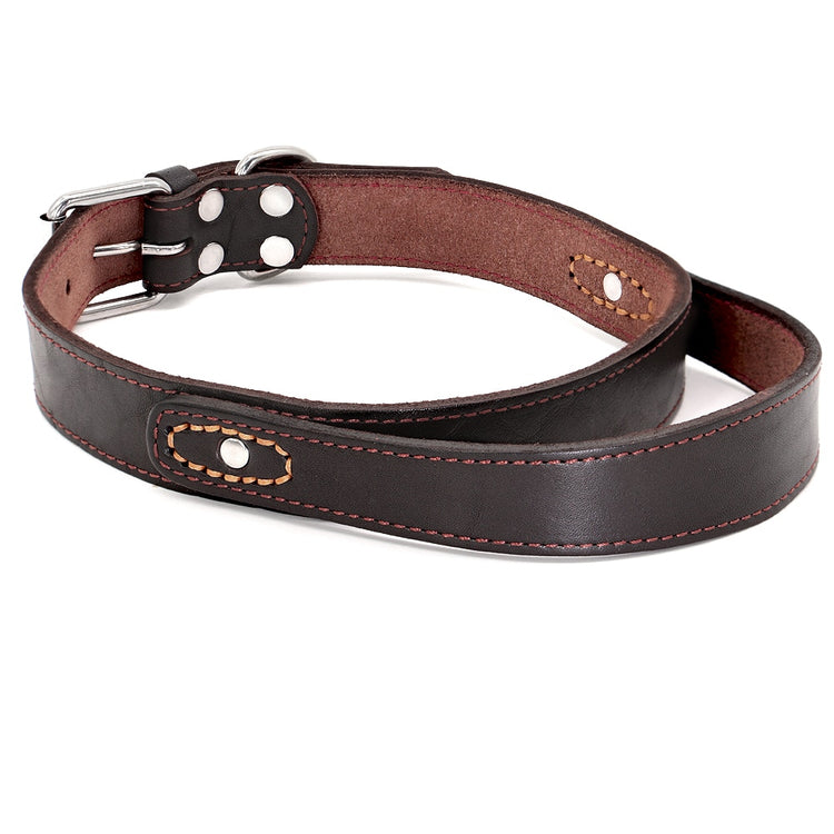 Genuine Leather Dog Collar - 2B Above All