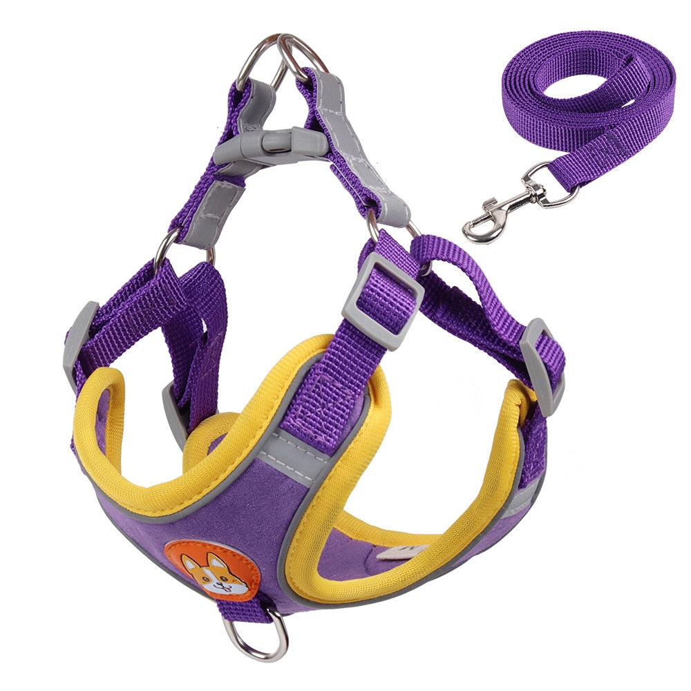 No Pull Pet Dog Harness and Leash Set - 2B Above All