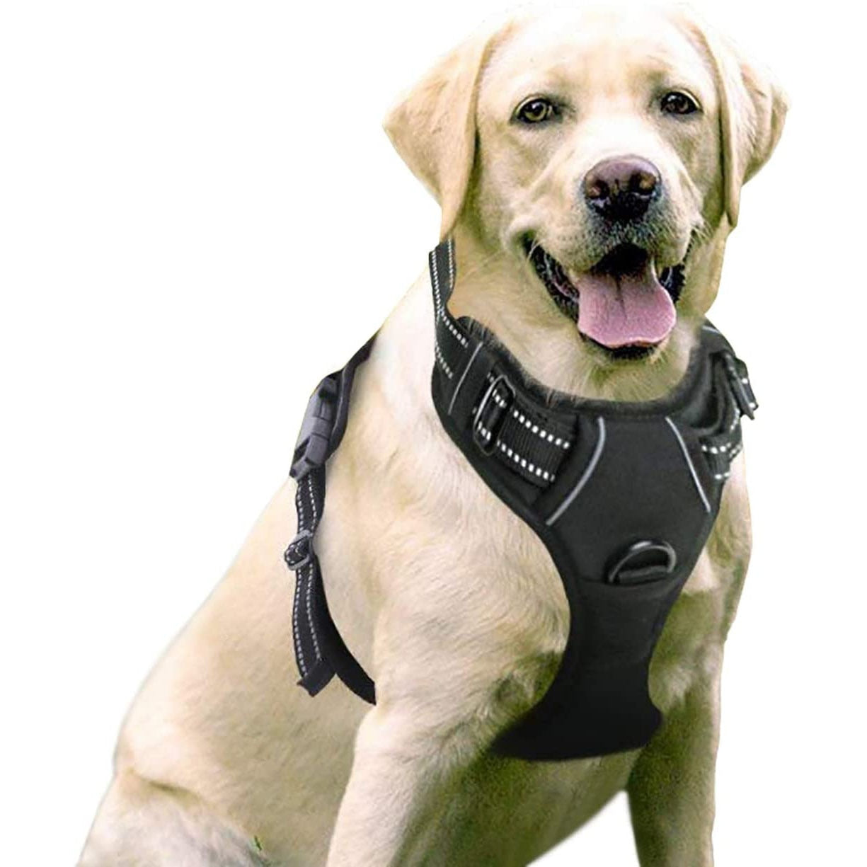 Reflective Adjustable Dog Harness - 2B Above All