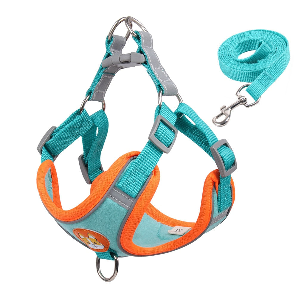 No Pull Pet Dog Harness and Leash Set - 2B Above All