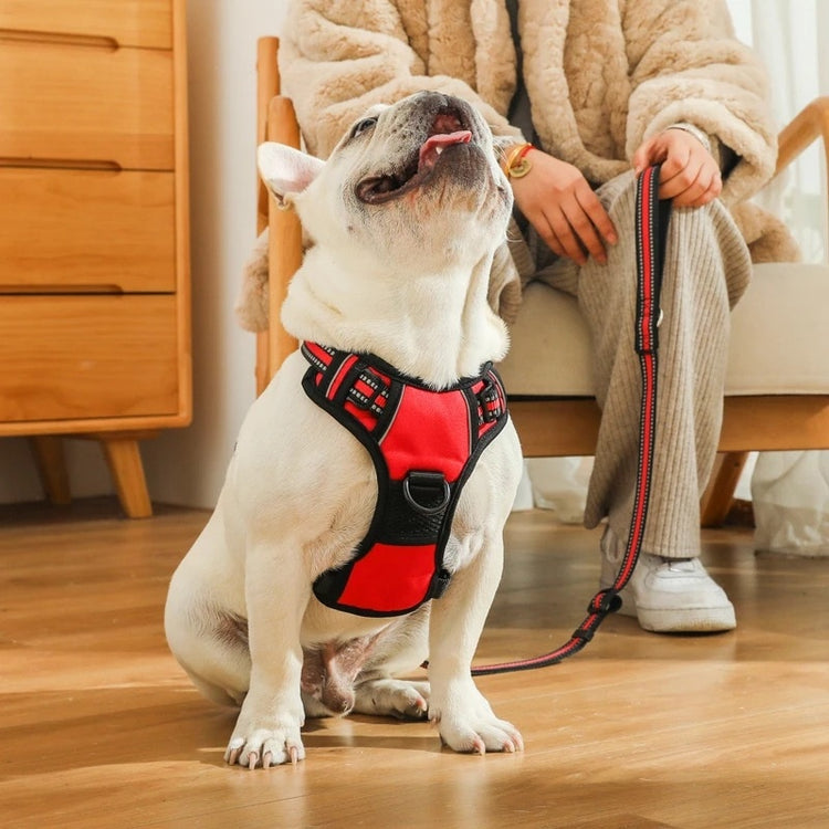 Reflective Adjustable Dog Harness - 2B Above All