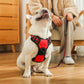 Reflective Adjustable Dog Harness - 2B Above All