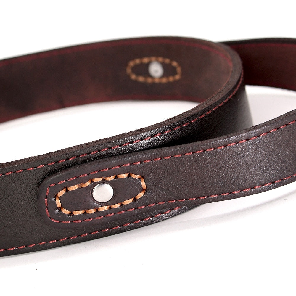 Genuine Leather Dog Collar - 2B Above All